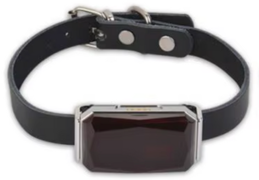 TailWaggers™ Dog GPS Tracker G12 Waterproof IP67 Geo-fence 200mA Battery Standby Mini GPS Locator For Dog GPS For Cat Collar Monitor FREE APP